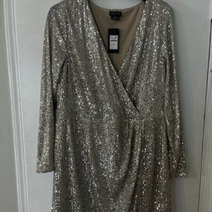 City Chic Razzle Dress